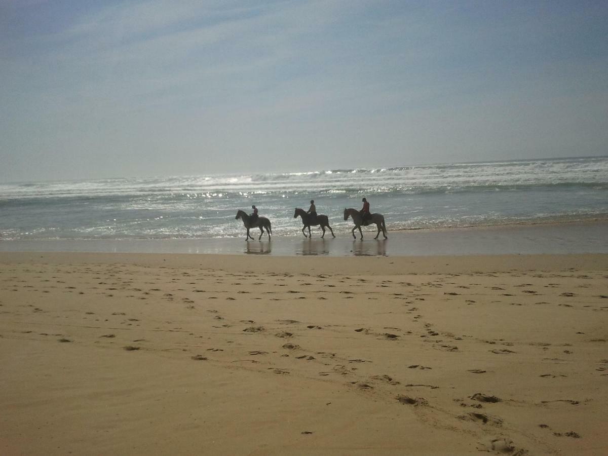 La Pinede Oceane,400M Des Plages Mimizan Luaran gambar