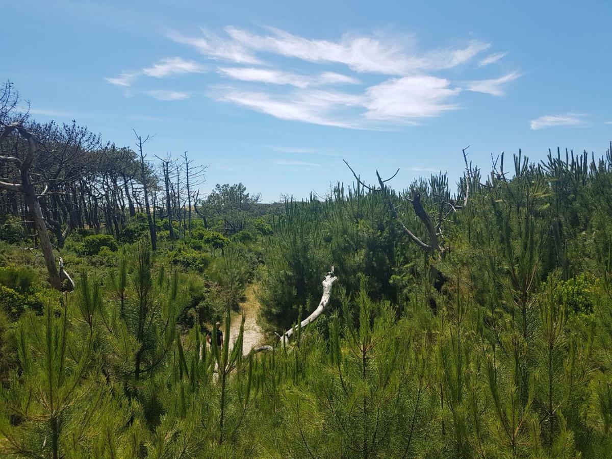 La Pinede Oceane,400M Des Plages Mimizan Luaran gambar